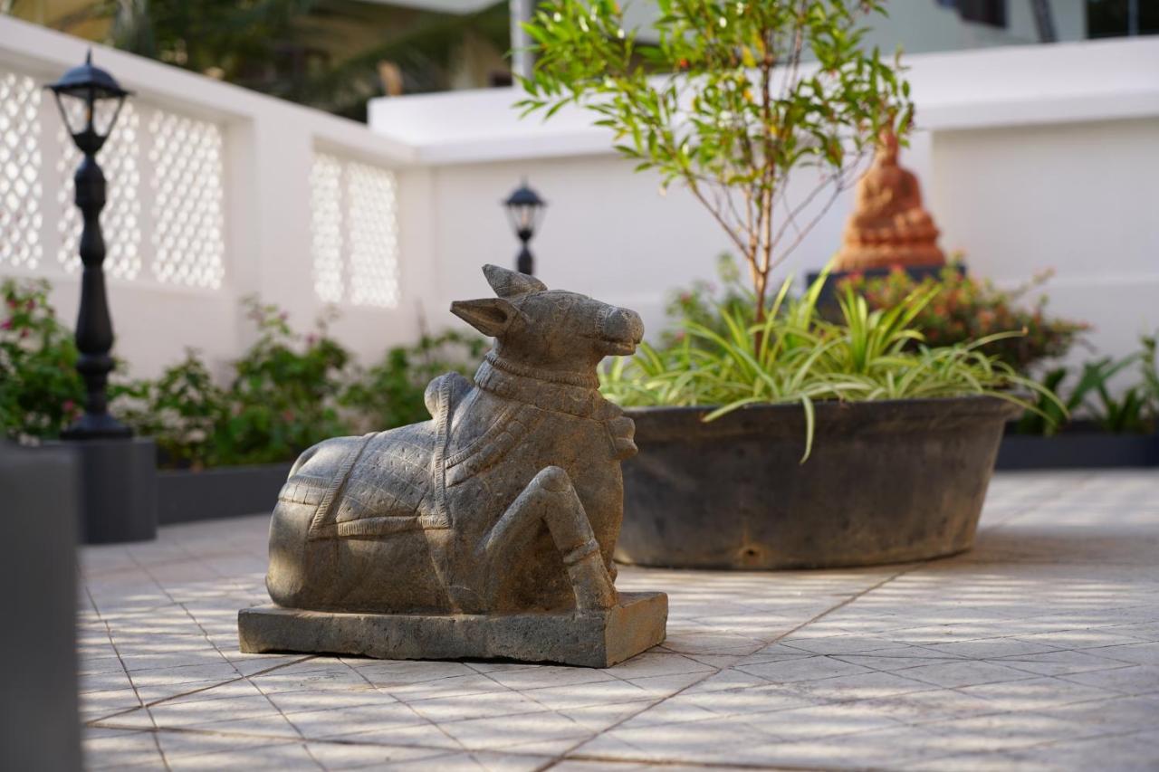 Buddha Beach Hotel Kovalam Exteriér fotografie