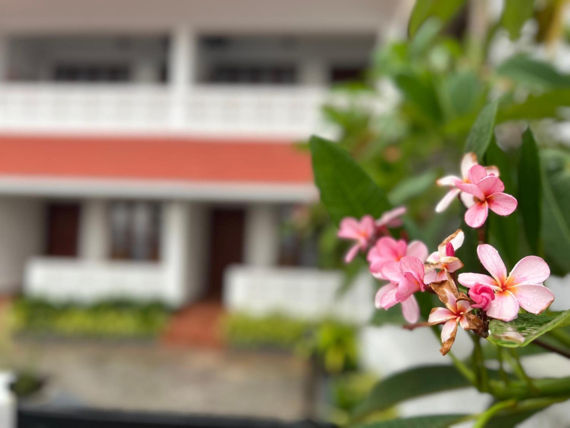 Buddha Beach Hotel Kovalam Exteriér fotografie