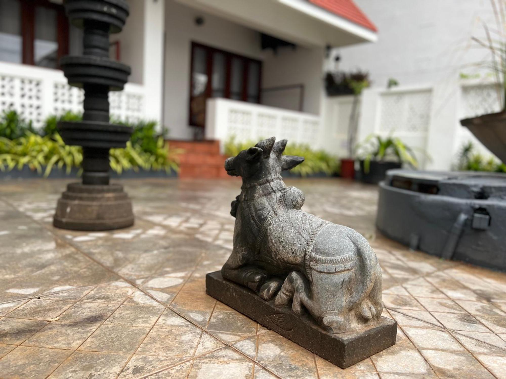 Buddha Beach Hotel Kovalam Exteriér fotografie